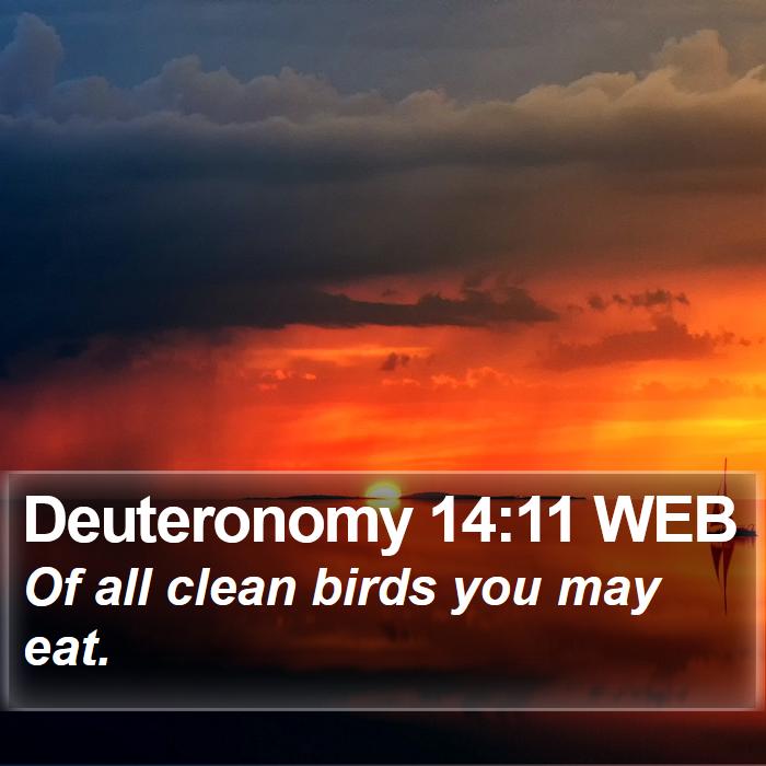 Deuteronomy 14:11 WEB Bible Study