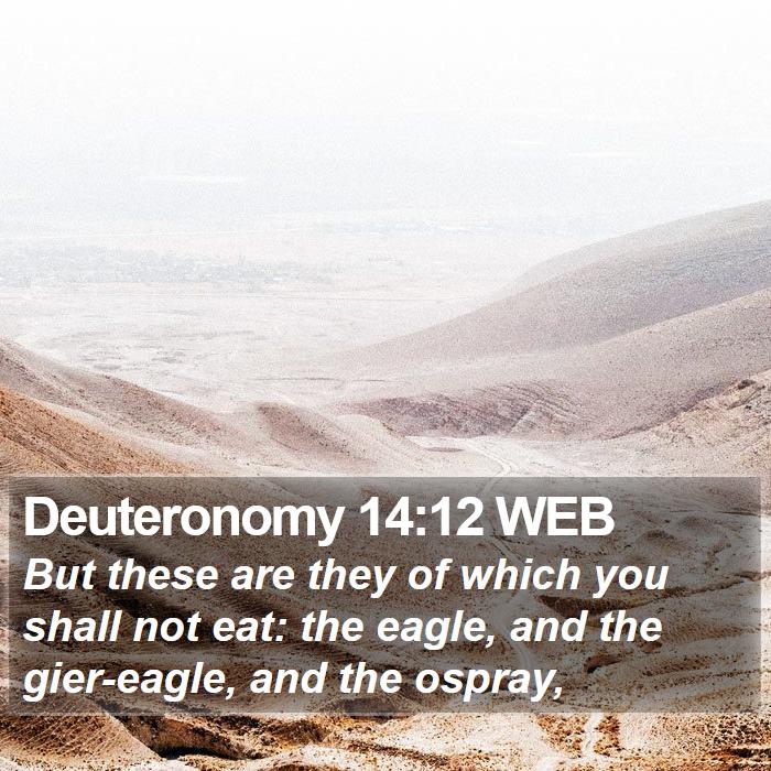 Deuteronomy 14:12 WEB Bible Study