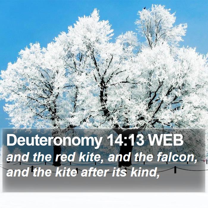 Deuteronomy 14:13 WEB Bible Study