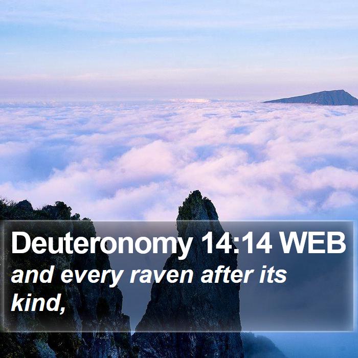 Deuteronomy 14:14 WEB Bible Study