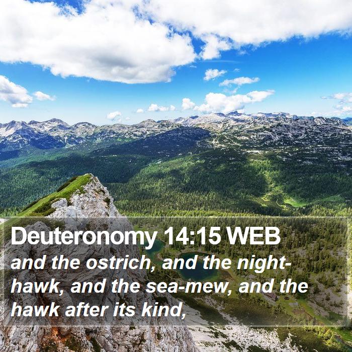 Deuteronomy 14:15 WEB Bible Study