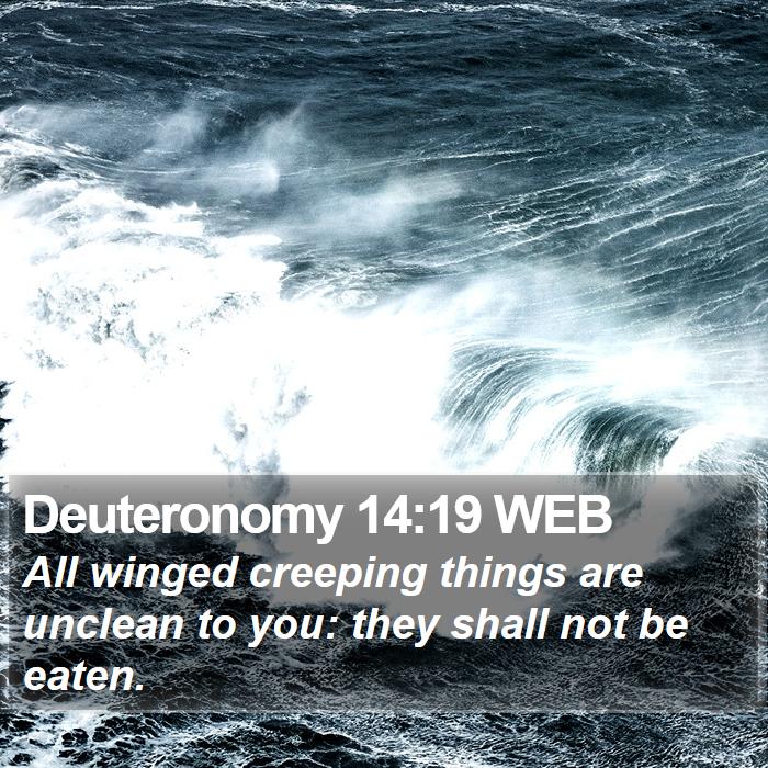 Deuteronomy 14:19 WEB Bible Study