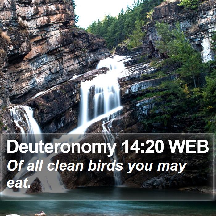 Deuteronomy 14:20 WEB Bible Study