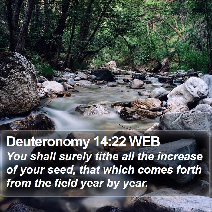 Deuteronomy 14:22 WEB Bible Study