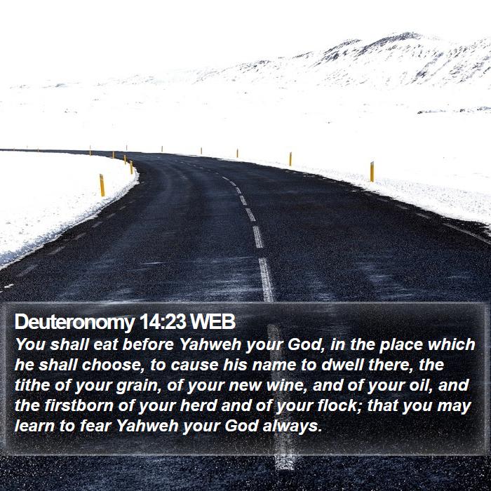 Deuteronomy 14:23 WEB Bible Study