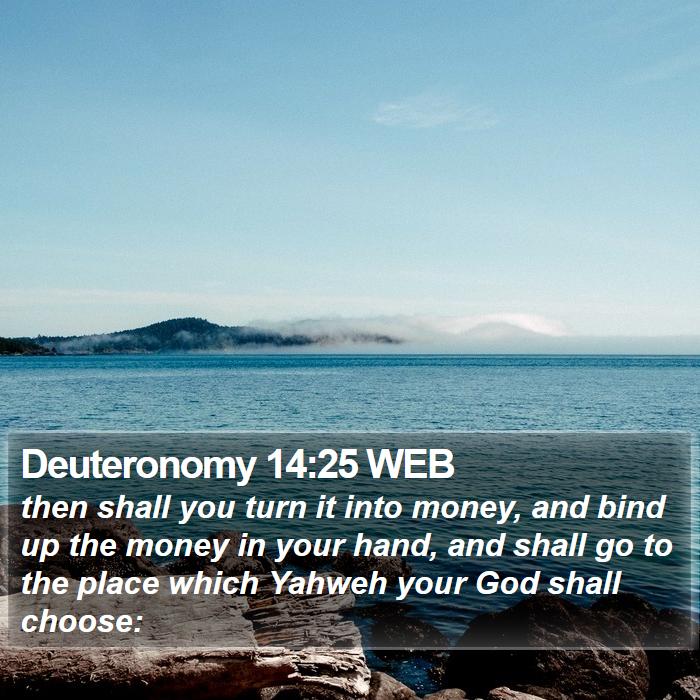 Deuteronomy 14:25 WEB Bible Study