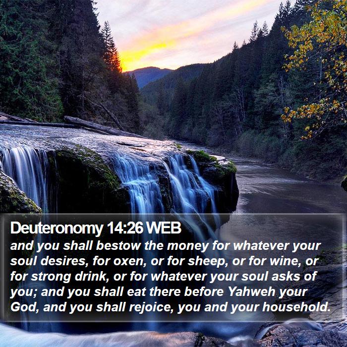 Deuteronomy 14:26 WEB Bible Study