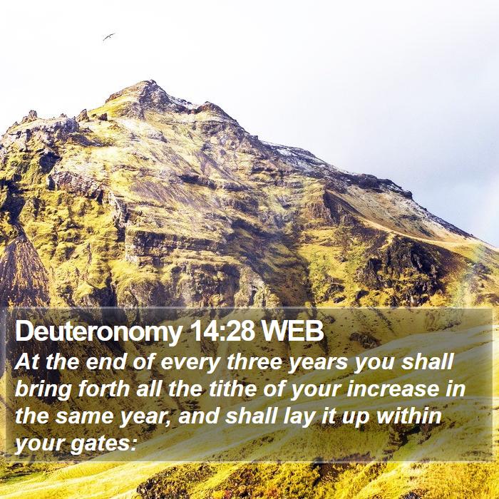 Deuteronomy 14:28 WEB Bible Study