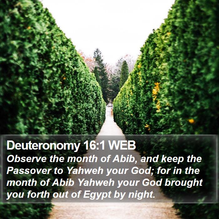 Deuteronomy 16:1 WEB Bible Study