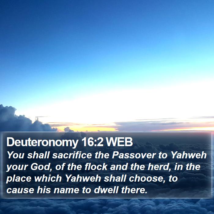 Deuteronomy 16:2 WEB Bible Study