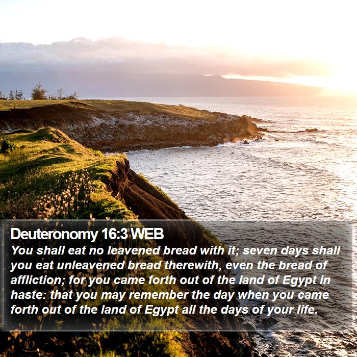 Deuteronomy 16:3 WEB Bible Study