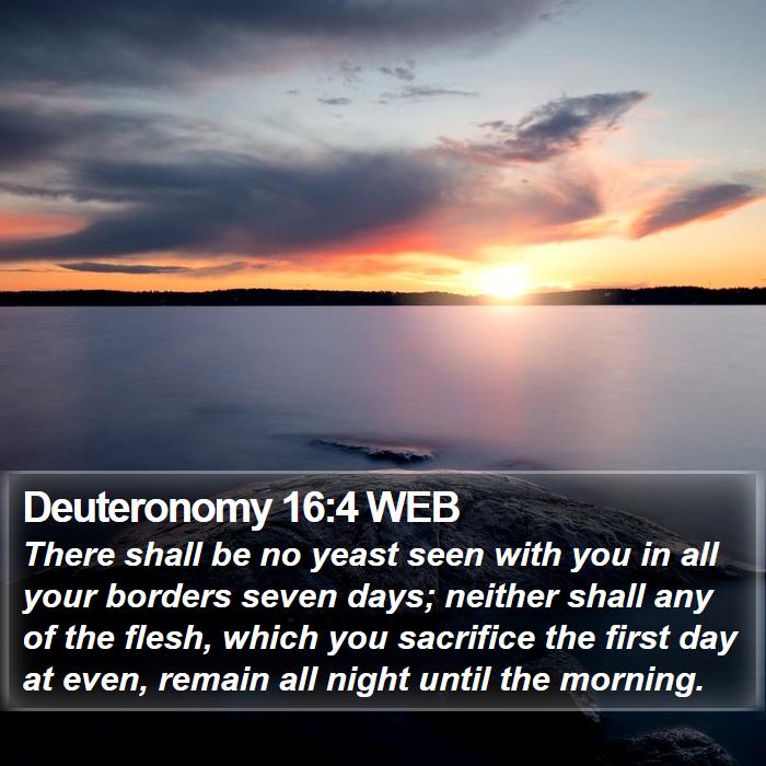 Deuteronomy 16:4 WEB Bible Study