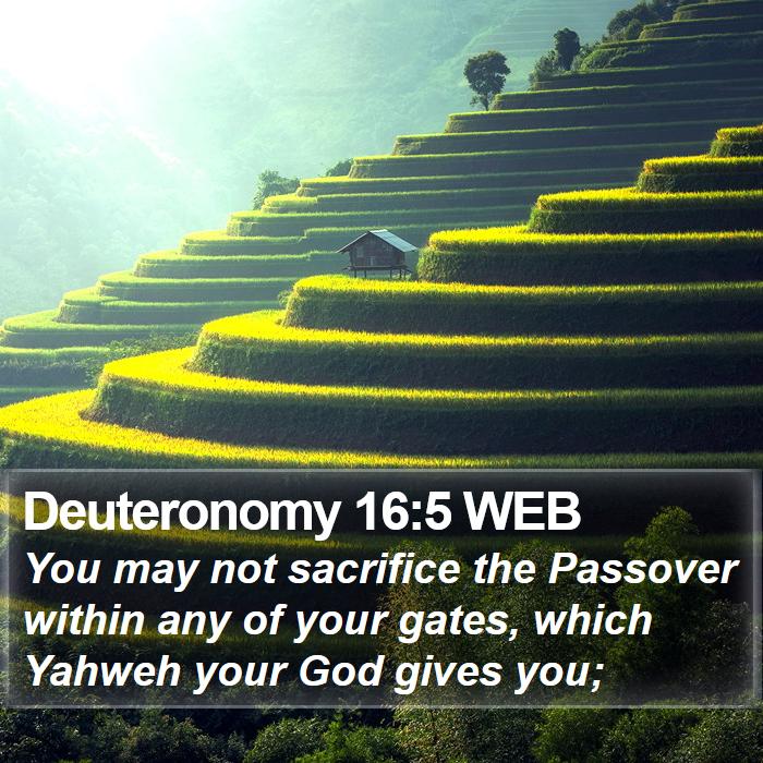 Deuteronomy 16:5 WEB Bible Study