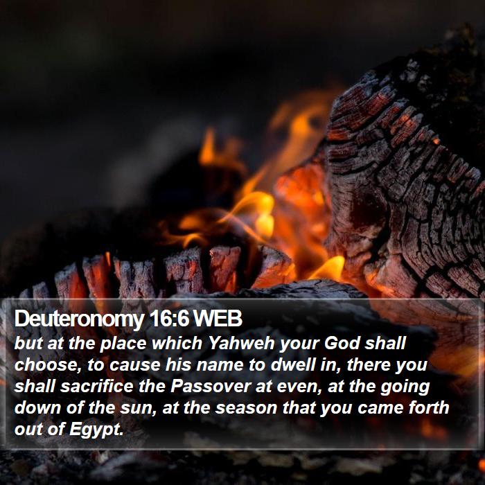 Deuteronomy 16:6 WEB Bible Study