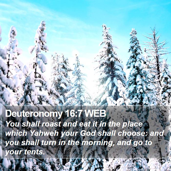 Deuteronomy 16:7 WEB Bible Study