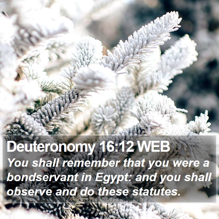 Deuteronomy 16:12 WEB Bible Study