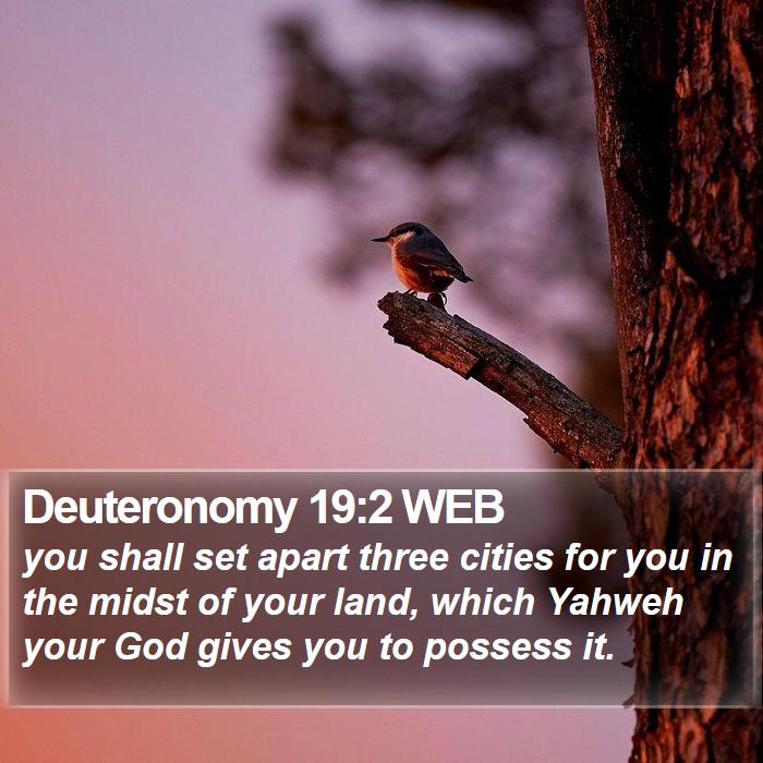 Deuteronomy 19:2 WEB Bible Study