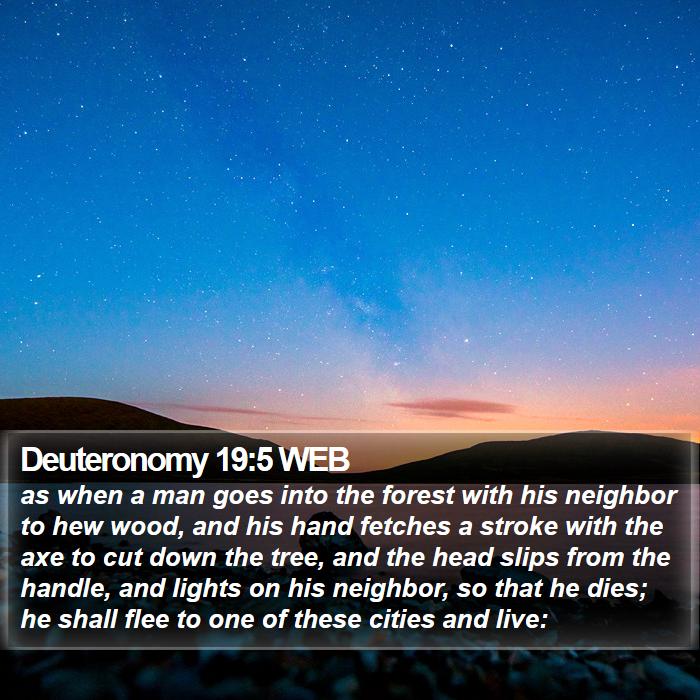 Deuteronomy 19:5 WEB Bible Study