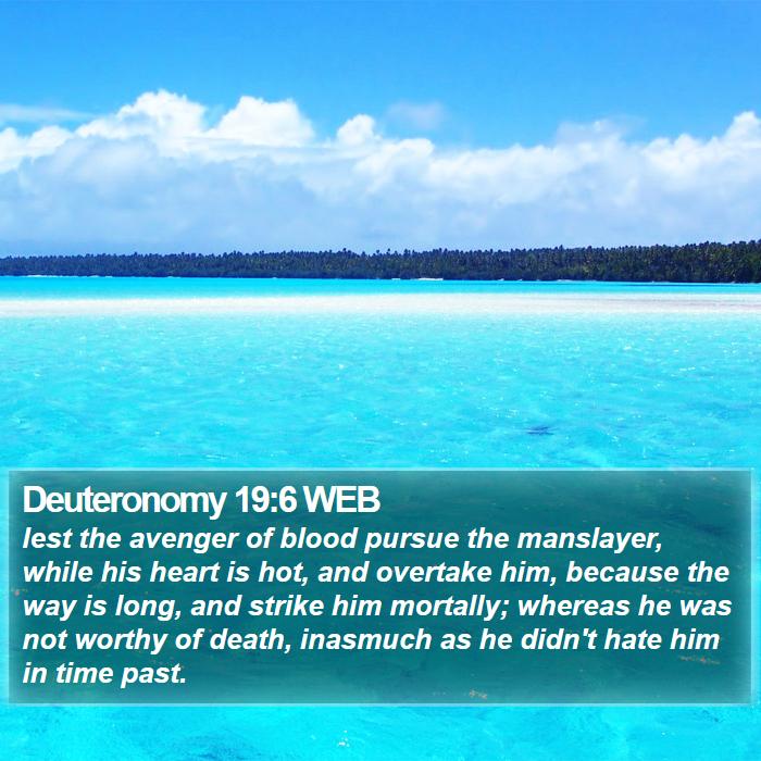 Deuteronomy 19:6 WEB Bible Study