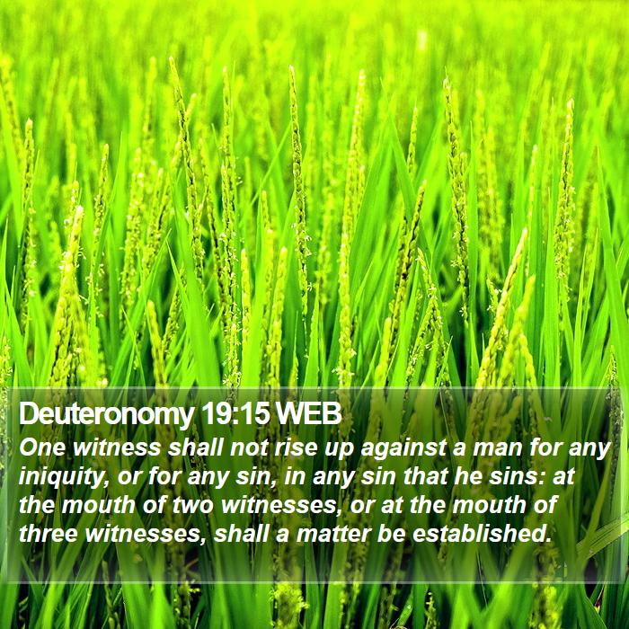 Deuteronomy 19:15 WEB Bible Study