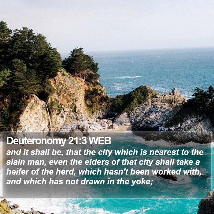 Deuteronomy 21:3 WEB Bible Study