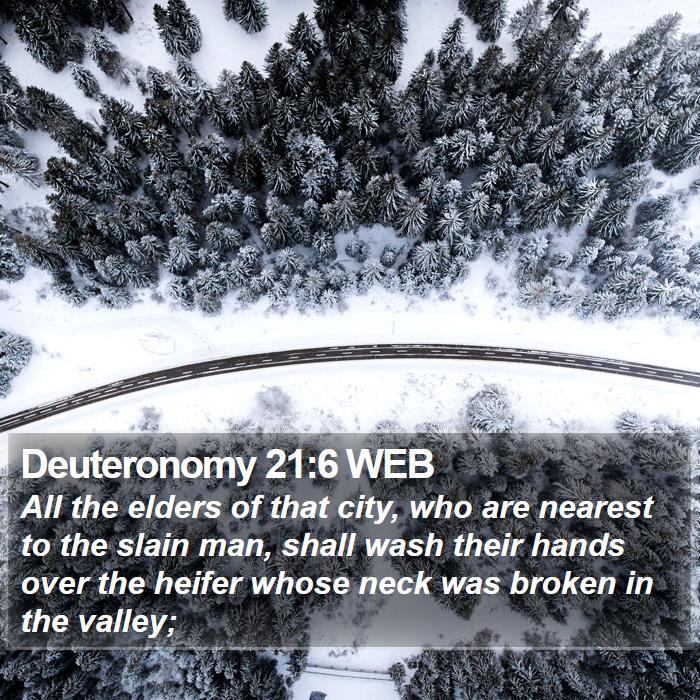 Deuteronomy 21:6 WEB Bible Study