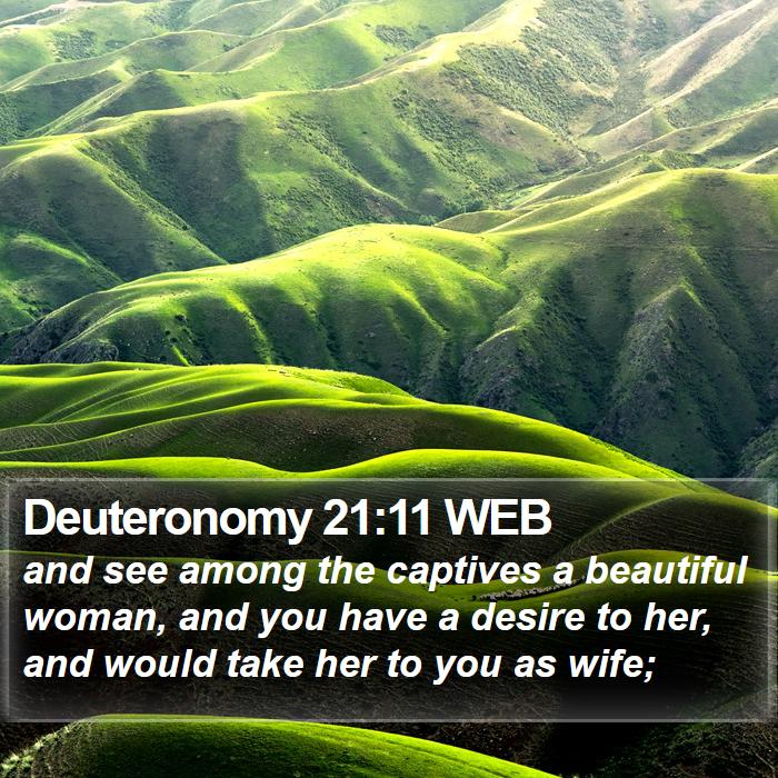 Deuteronomy 21:11 WEB Bible Study