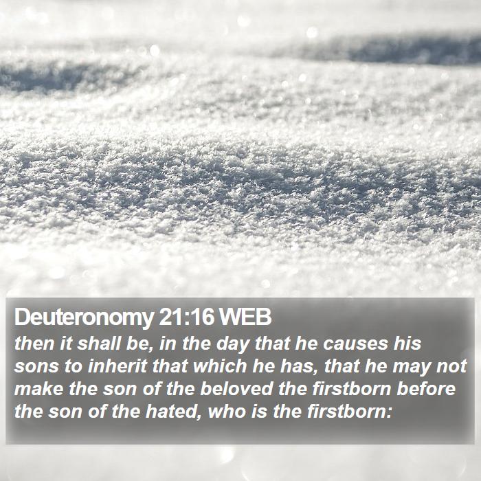 Deuteronomy 21:16 WEB Bible Study