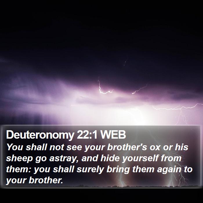 Deuteronomy 22:1 WEB Bible Study