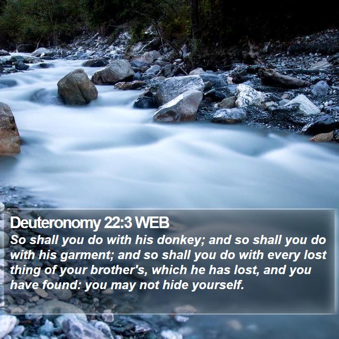 Deuteronomy 22:3 WEB Bible Study