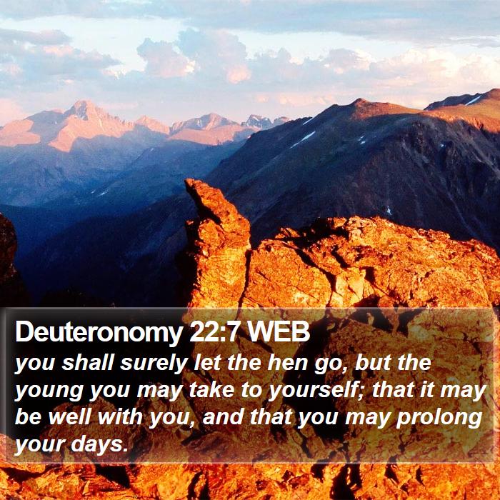 Deuteronomy 22:7 WEB Bible Study