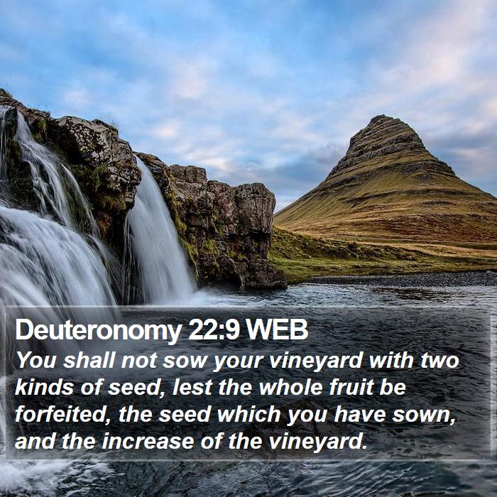 Deuteronomy 22:9 WEB Bible Study