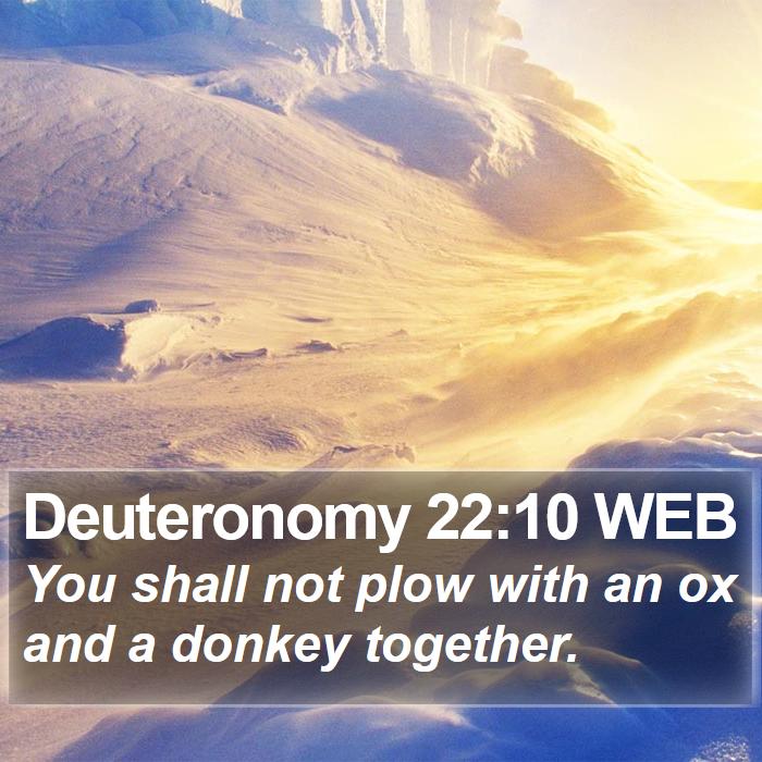 Deuteronomy 22:10 WEB Bible Study