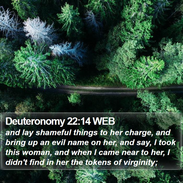 Deuteronomy 22:14 WEB Bible Study