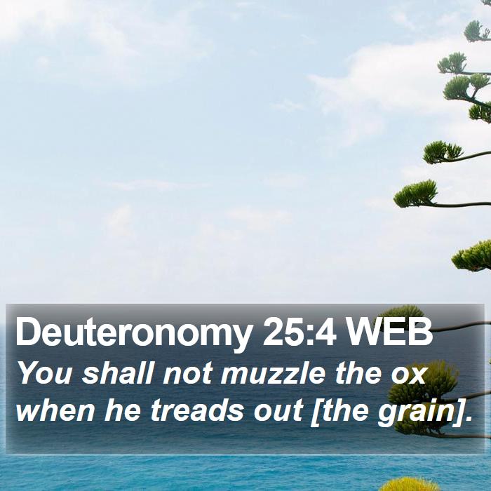 Deuteronomy 25:4 WEB Bible Study