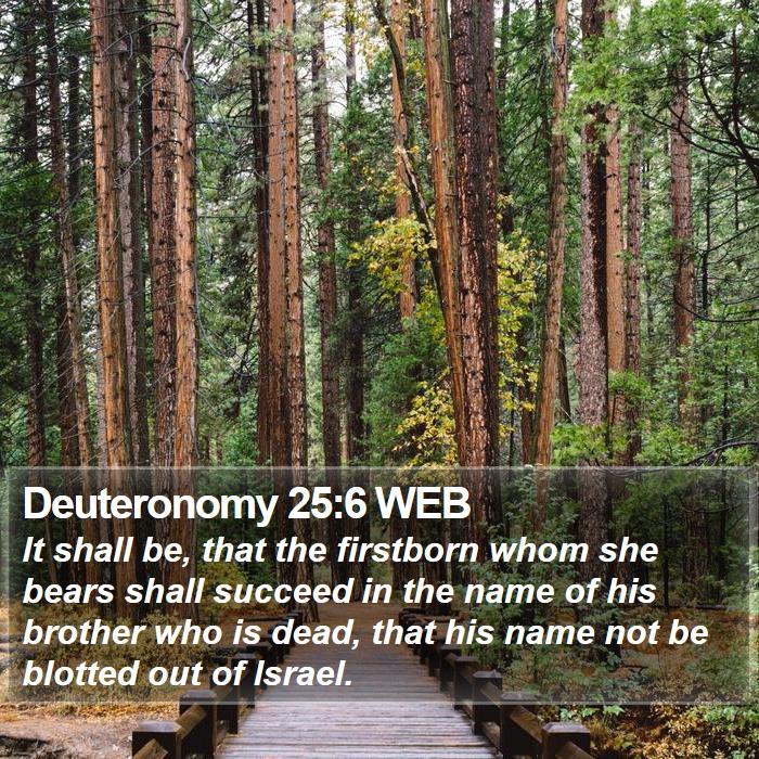 Deuteronomy 25:6 WEB Bible Study