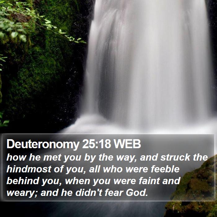 Deuteronomy 25:18 WEB Bible Study