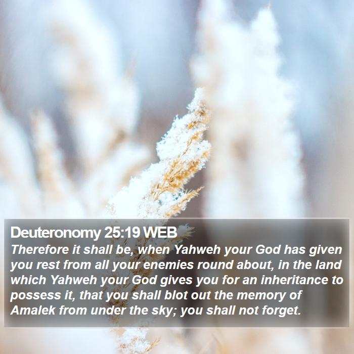 Deuteronomy 25:19 WEB Bible Study