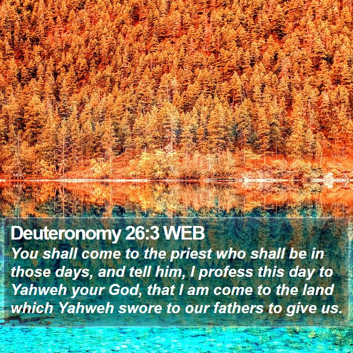 Deuteronomy 26:3 WEB Bible Study