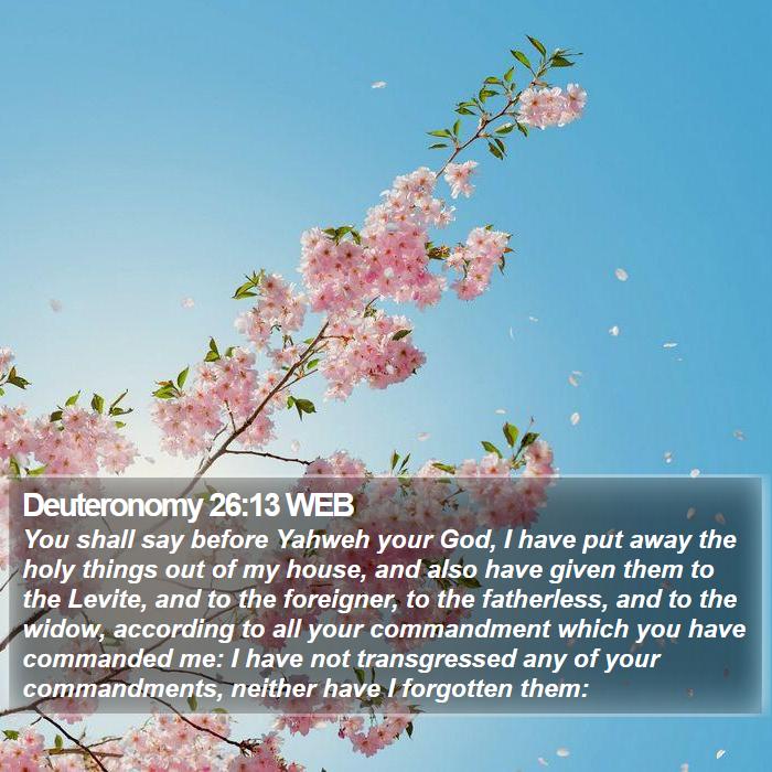 Deuteronomy 26:13 WEB Bible Study