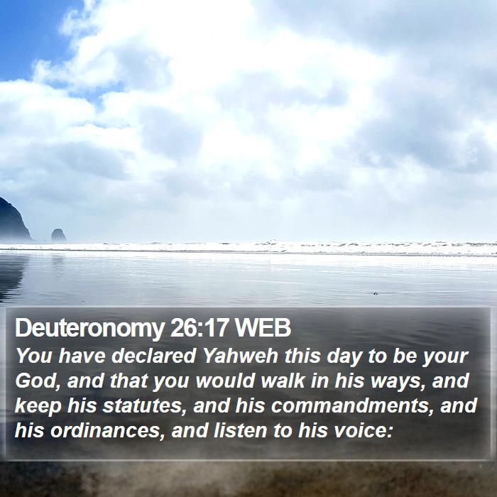 Deuteronomy 26:17 WEB Bible Study