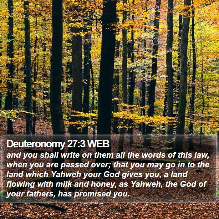 Deuteronomy 27:3 WEB Bible Study