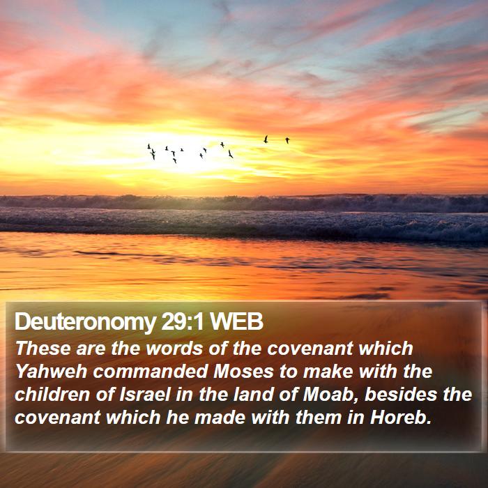 Deuteronomy 29:1 WEB Bible Study