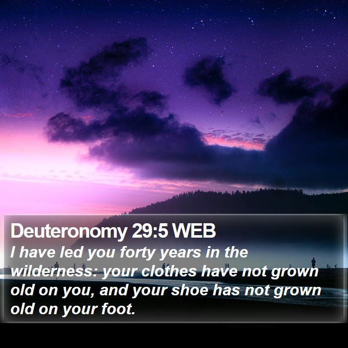 Deuteronomy 29:5 WEB Bible Study