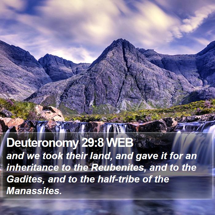 Deuteronomy 29:8 WEB Bible Study