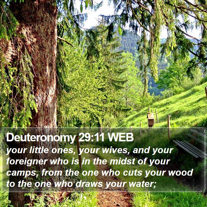 Deuteronomy 29:11 WEB Bible Study