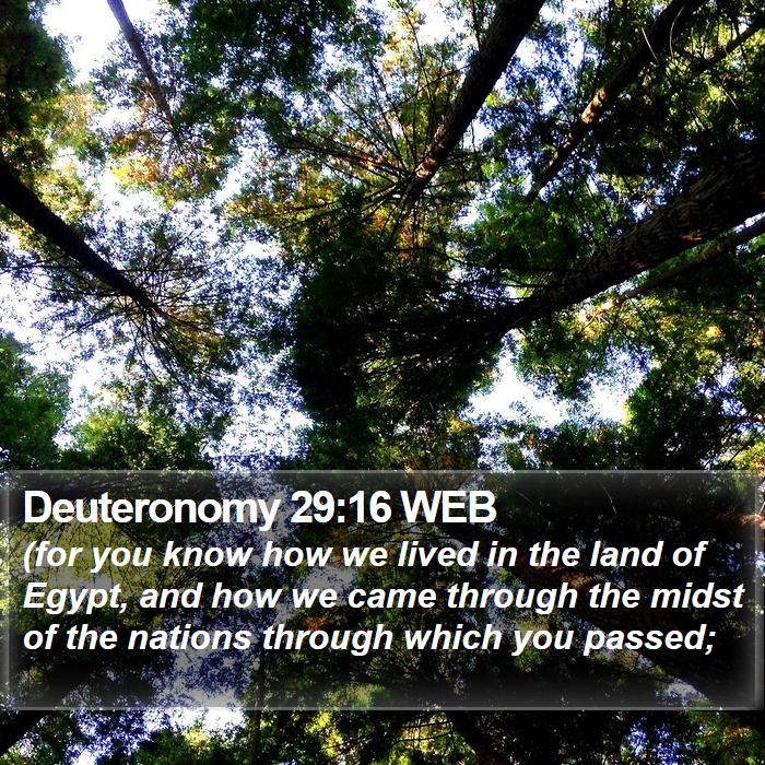 Deuteronomy 29:16 WEB Bible Study