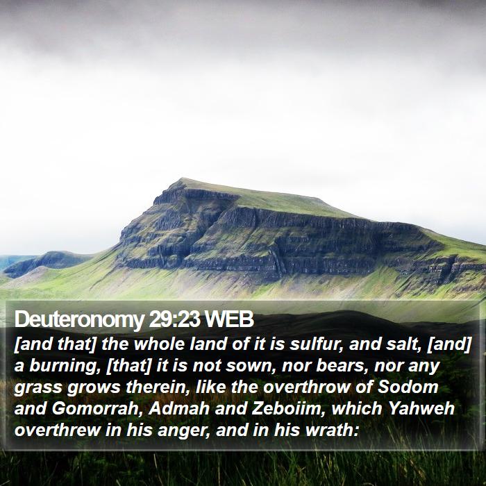 Deuteronomy 29:23 WEB Bible Study