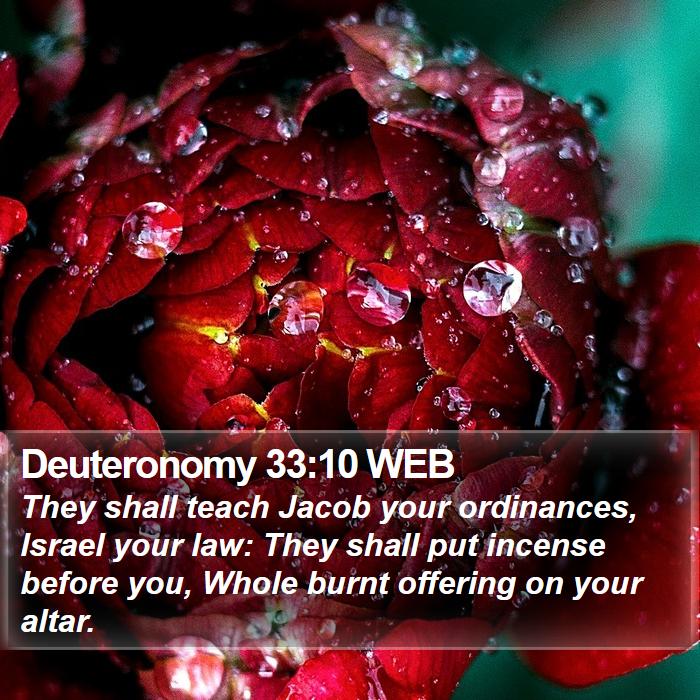 Deuteronomy 33:10 WEB Bible Study