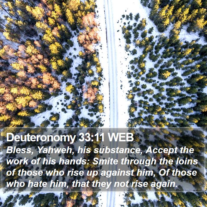 Deuteronomy 33:11 WEB Bible Study